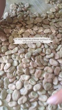 Public product photo - Hurry 🔥
Alshams Company now offer broad beans 👏
We export all over the world 🌍
Order Now 🔥
For any inquiries please contact me
Sales dep
Ms/ Merna Hesham
Whats app : 00201093042965
Email : alshamsexporting@yahoo.com